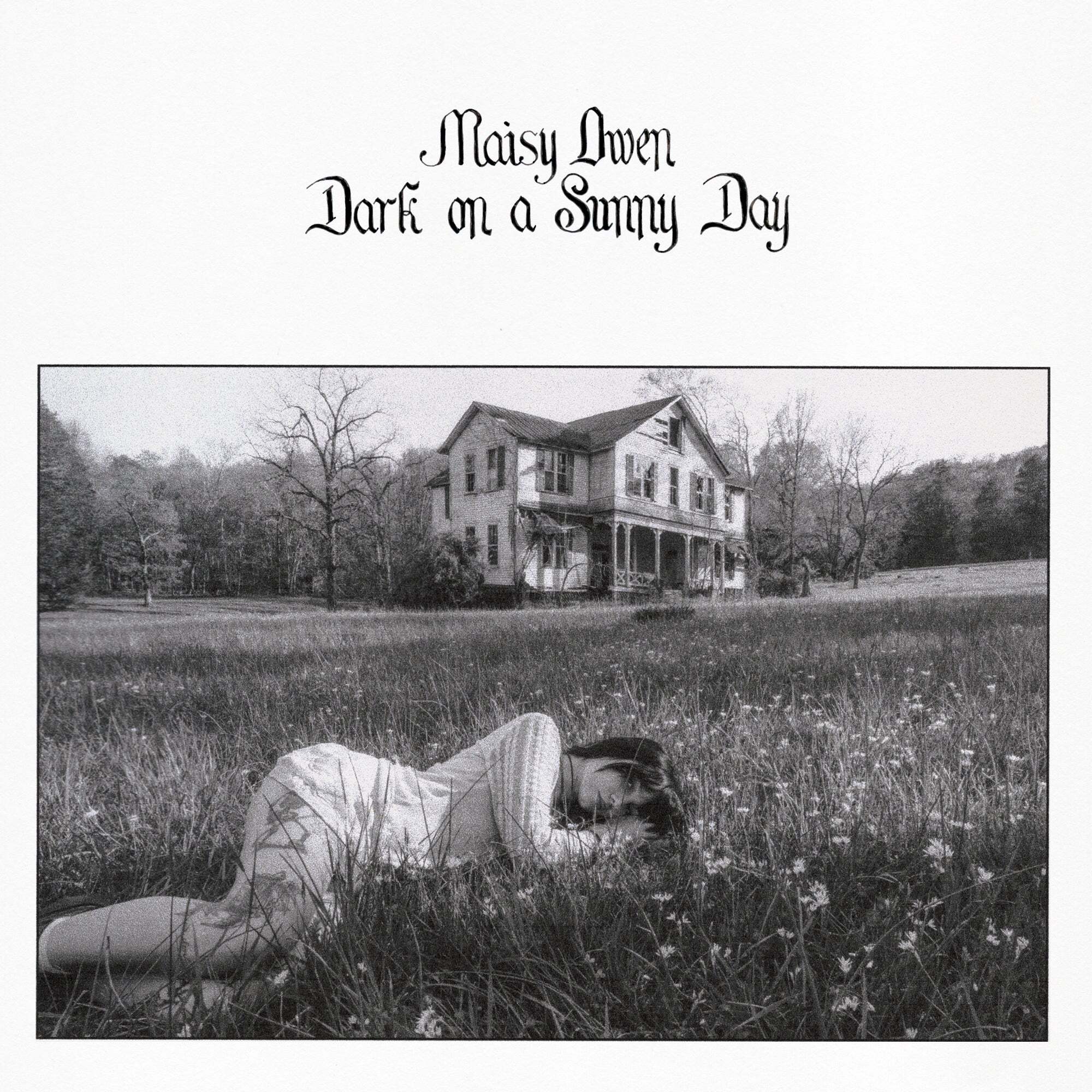 Dark On a Sunny Day