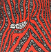 Zebra/I Often Ponder