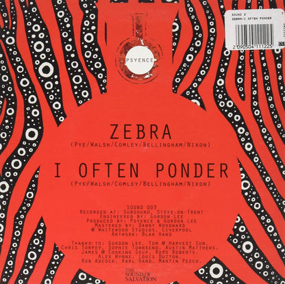 Zebra/I Often Ponder