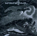 Ninetail - The Vultures Are Circling (Cd)