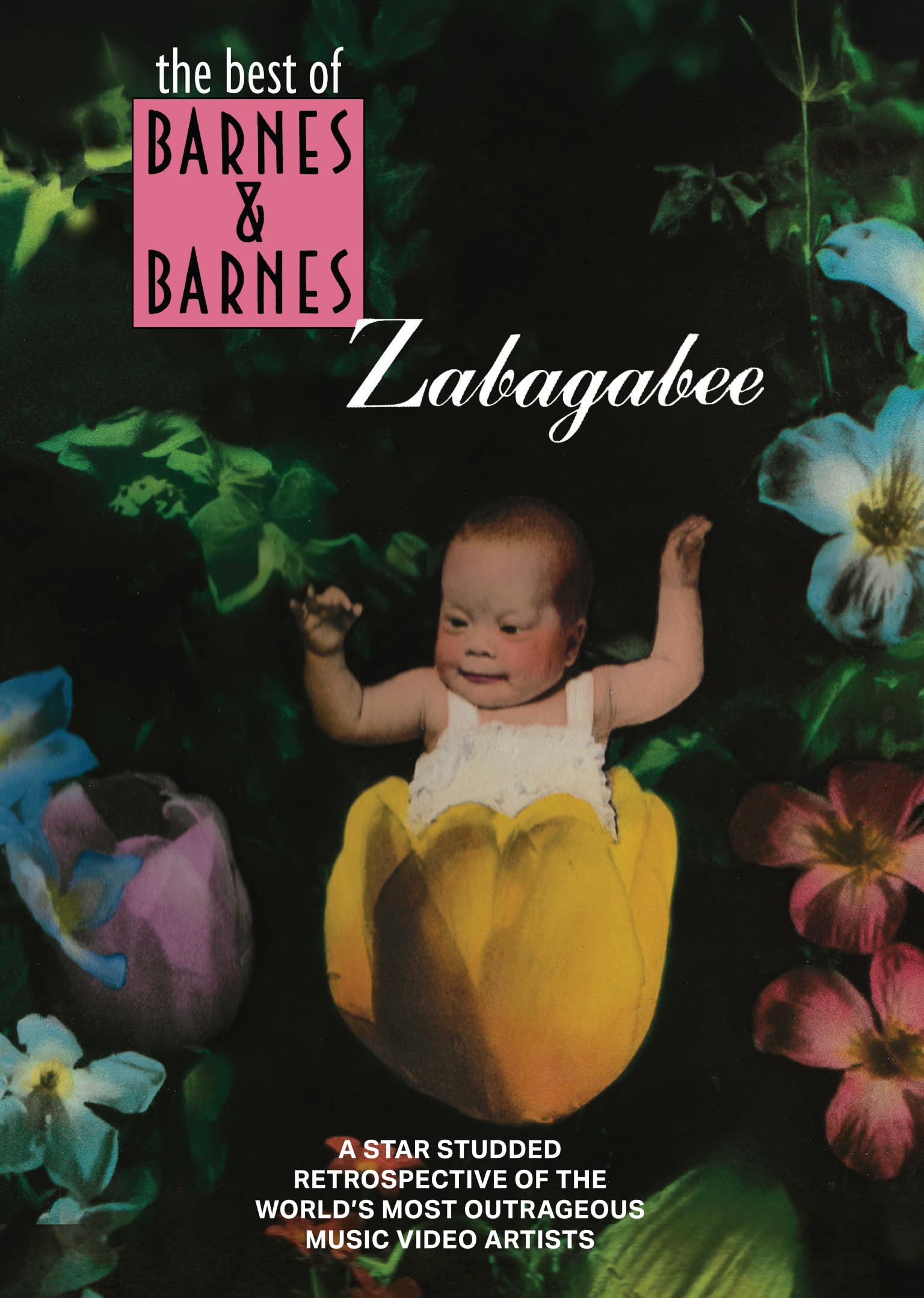 Barnes & Barnes: Zabagabee - The Best of Barnes & Barnes