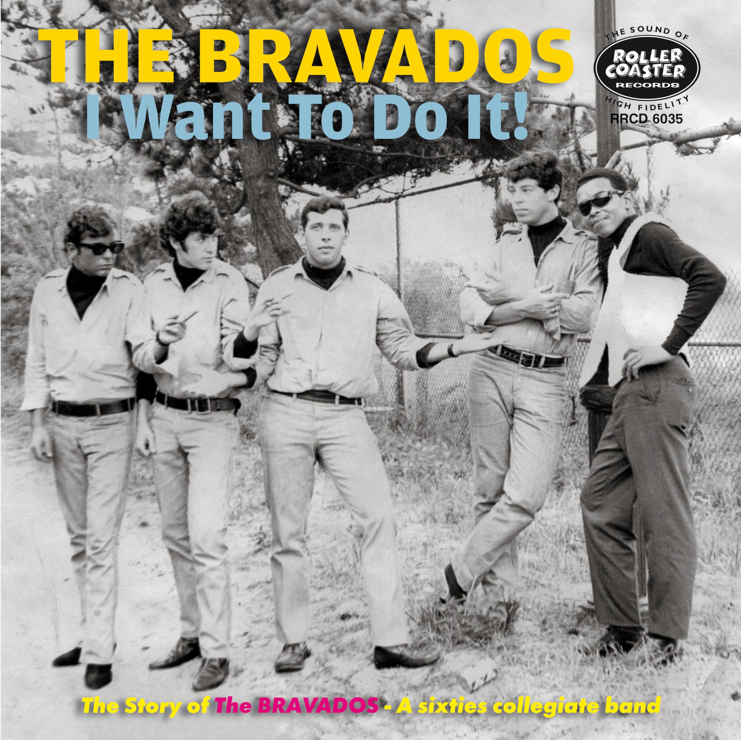 I Want To Do It!: The Story Of The Bravdaos, A 60s Collegiate Rock Band