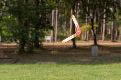 BS Toys - BS Toys Boomerang