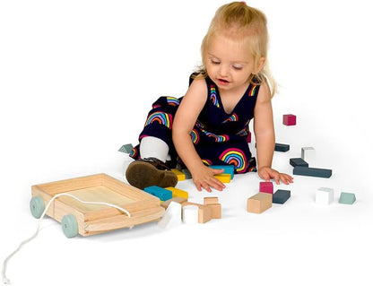 Bigjigs Toys FSC Certified Brick Pull Along Cart - Wooden Pull Along Wagon with Baby Blocks for 18 months +, Sustainable Pull Along Toy & Wooden Baby Walker, Educational Shape Game