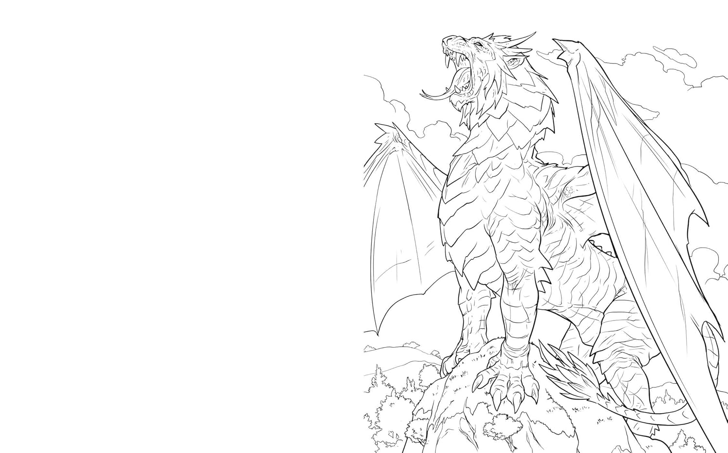 The Dragoncore Coloring Book