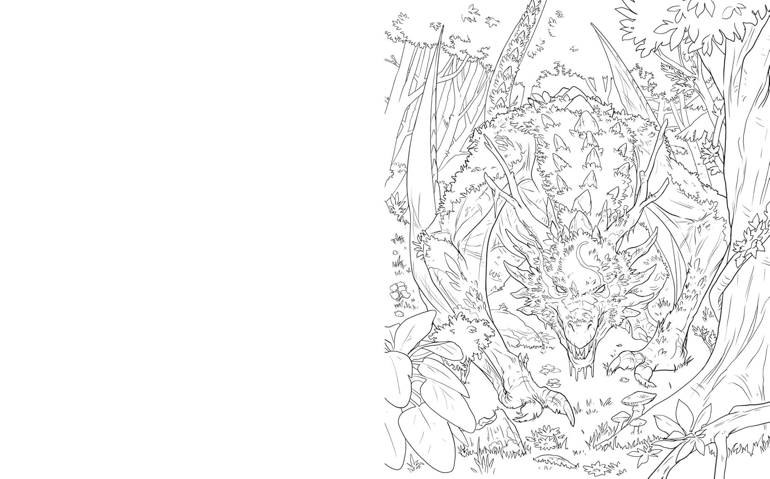 The Dragoncore Coloring Book
