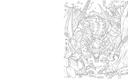 The Dragoncore Coloring Book