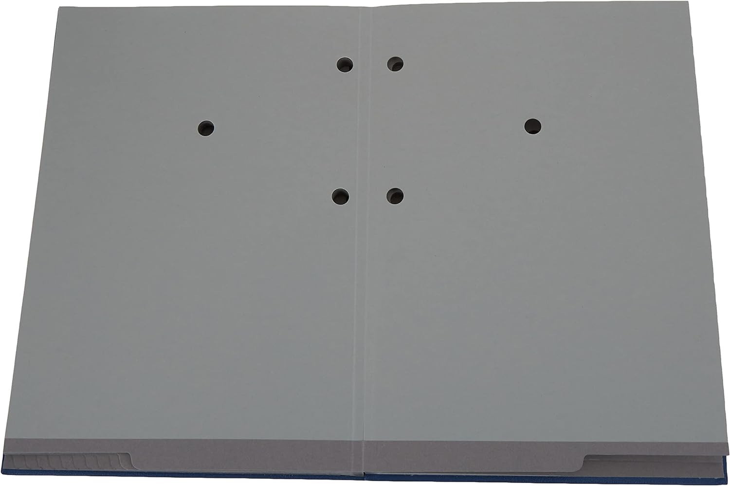 Leitz 57000035 Unterschriftsmappe, 20 Fächer, Überzug PP, blau, A4 & Pagna Pultordner Color (Pultmappe, 32 Fächer, 1-31) blau