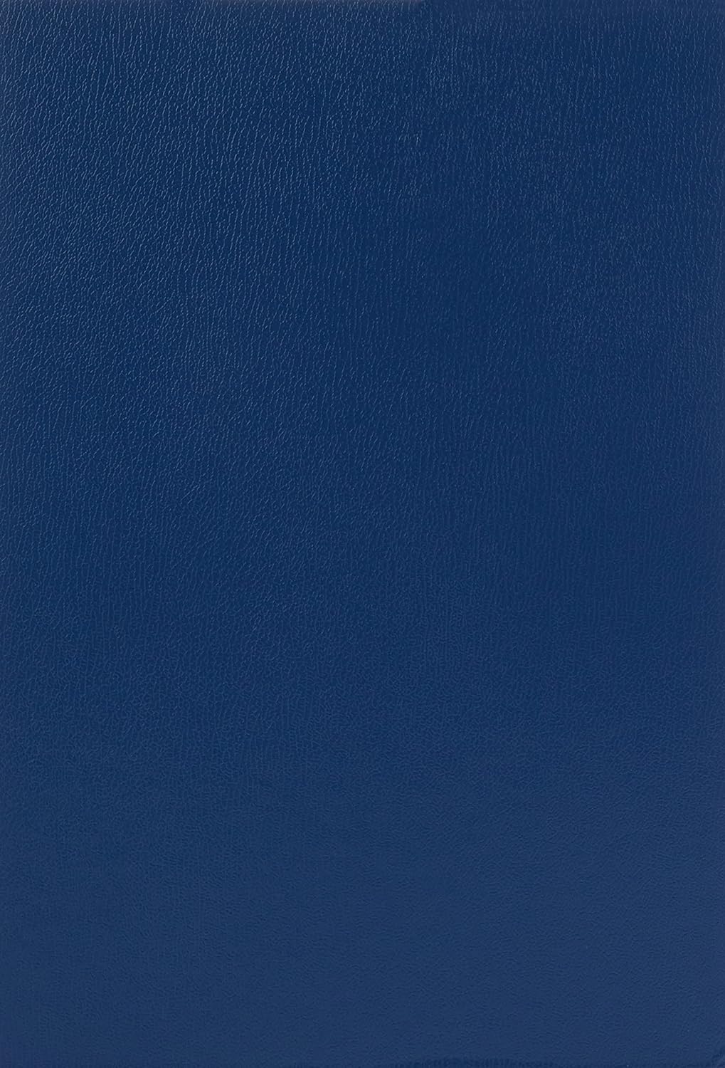 Leitz 57000035 Unterschriftsmappe, 20 Fächer, Überzug PP, blau, A4 & Pagna Pultordner Color (Pultmappe, 32 Fächer, 1-31) blau