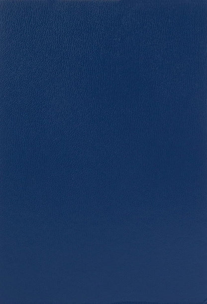 Leitz 57000035 Unterschriftsmappe, 20 Fächer, Überzug PP, blau, A4 & Pagna Pultordner Color (Pultmappe, 32 Fächer, 1-31) blau