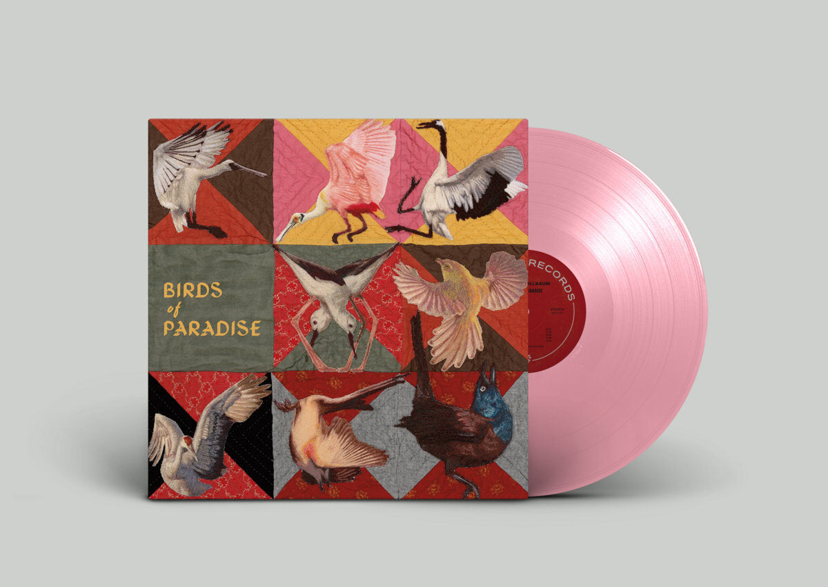 Birds of Paradise