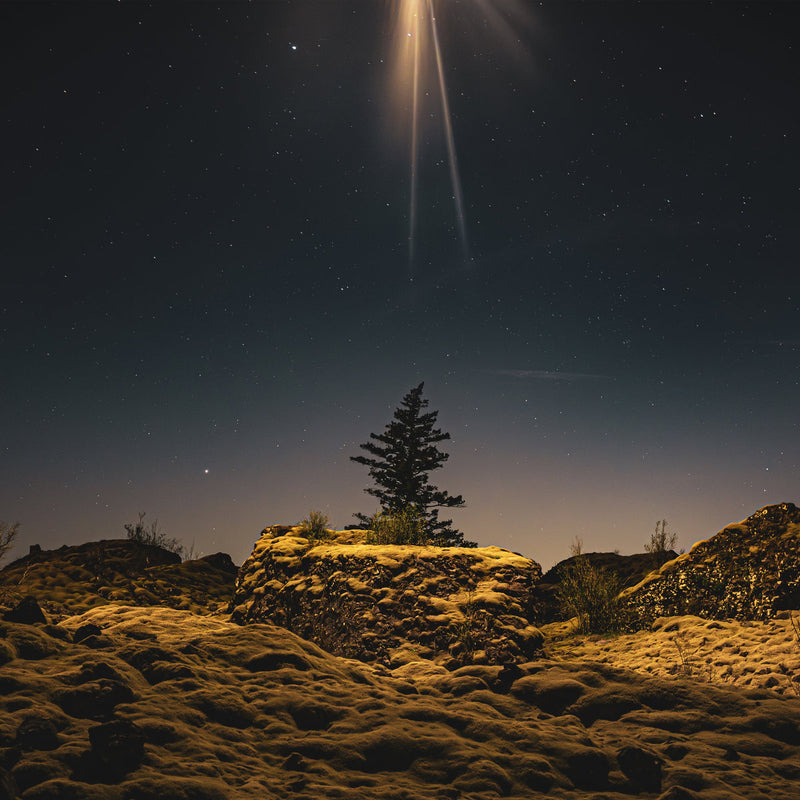 The Second Coming Wasa Moonrise