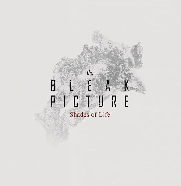 Shades Of Lifes