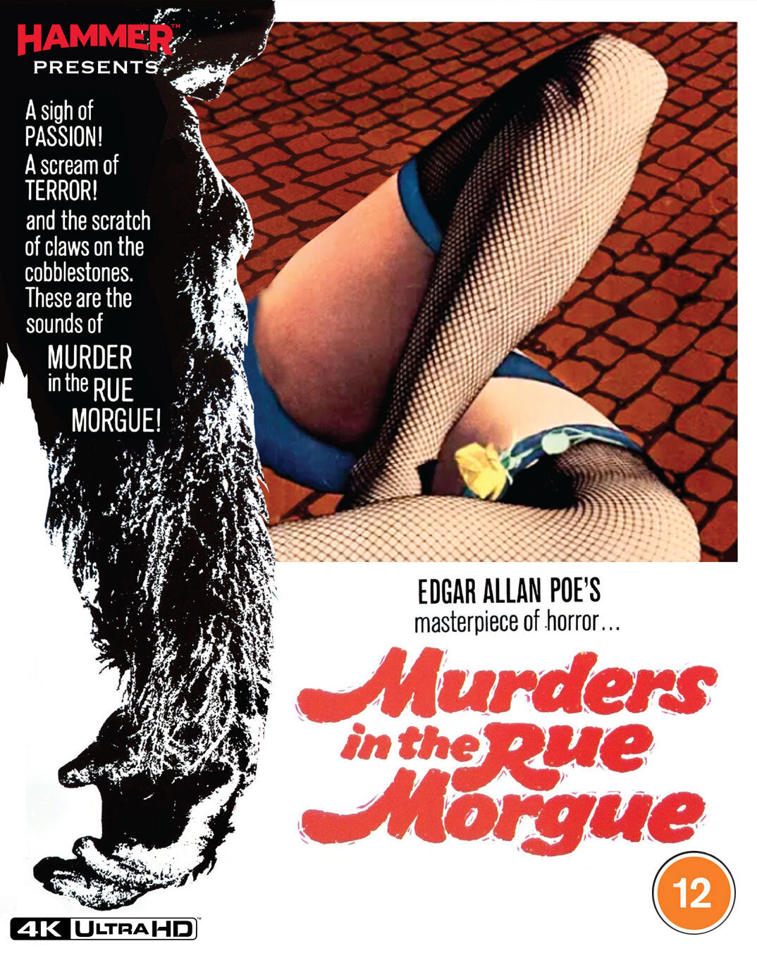 Murders in the Rue Morgue