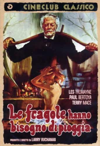 Le Fragole Hanno Bisogno Di Pioggia