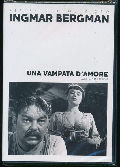 Una vampata d'amore