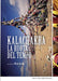 kalachakra la ruota del tempo DVD Italian Import