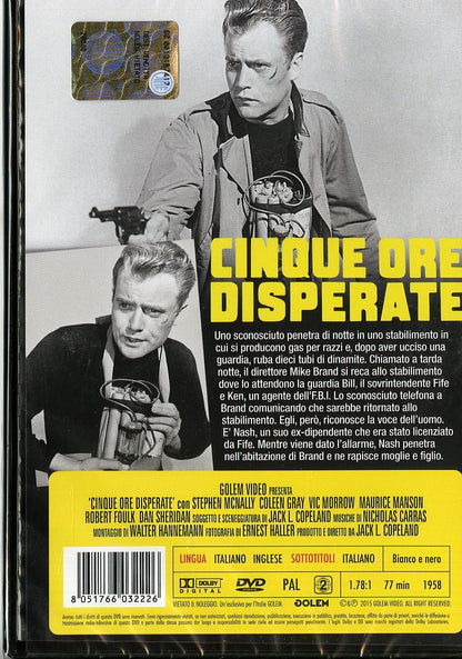 cinque ore disperate DVD Italian Import