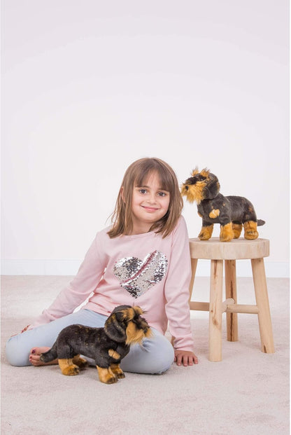 Teddy Hermann 91923 hond ruwhaar teckel 28 cm, knuffeldier, pluche dier met gerecyclede vulling