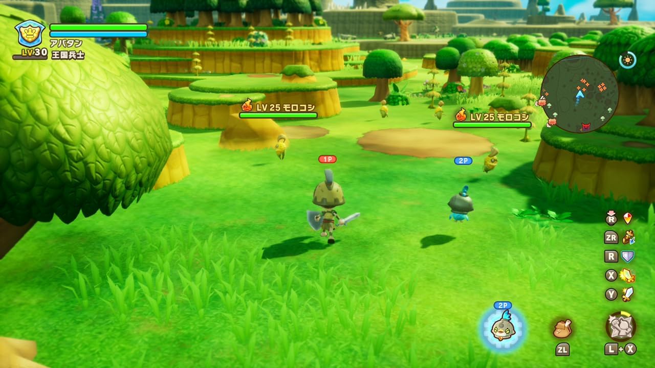 Fantasy Life I: The Girl Who Steals Time (Import)
