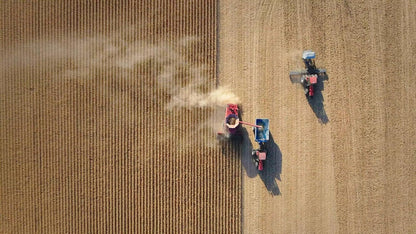 Food, Inc. 2