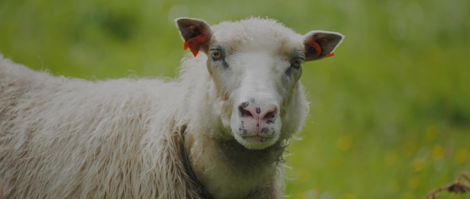 I Could Never Go Vegan