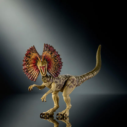 Mattel Jurassic World Hammond Collection Dinosaur Action Figure Dilophosaurus. Premium Design with Realistic Eyes, Articulated Joints & Extra Head, JKM93