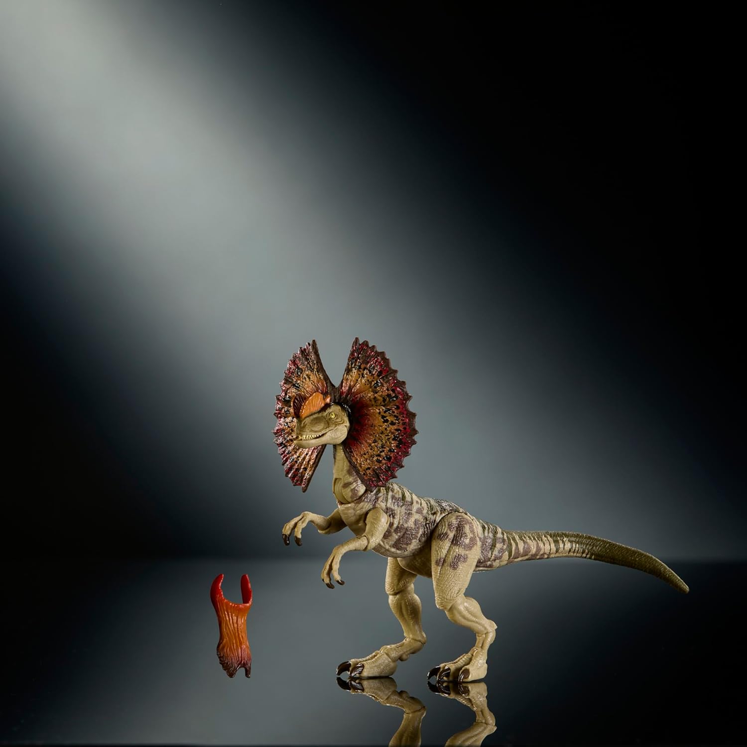 Mattel Jurassic World Hammond Collection Dinosaur Action Figure Dilophosaurus. Premium Design with Realistic Eyes, Articulated Joints & Extra Head, JKM93