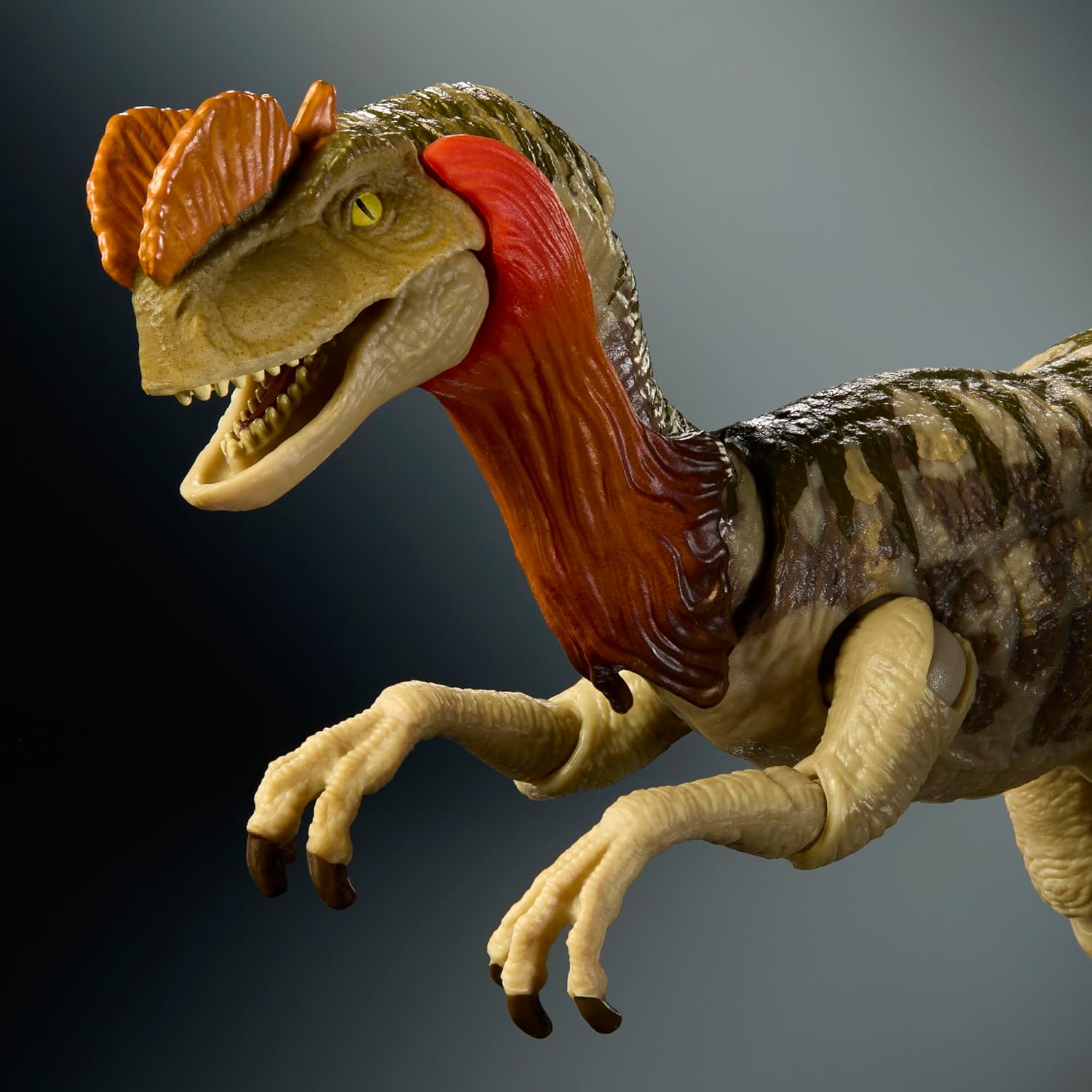 Mattel Jurassic World Hammond Collection Dinosaur Action Figure Dilophosaurus. Premium Design with Realistic Eyes, Articulated Joints & Extra Head, JKM93