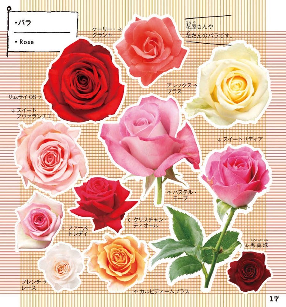 小学館の図鑑NEO 花シール (小学館の図鑑NEO まるごとシールブック