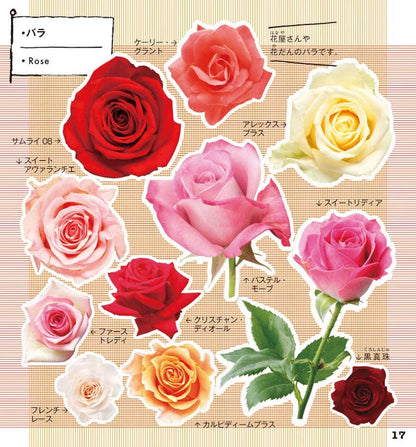 小学館の図鑑NEO 花シール (小学館の図鑑NEO まるごとシールブック