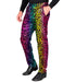 Widmann Party Fashion Pants (Rainbow Animalier Leopard Sequin Pants) (L) Rainbow