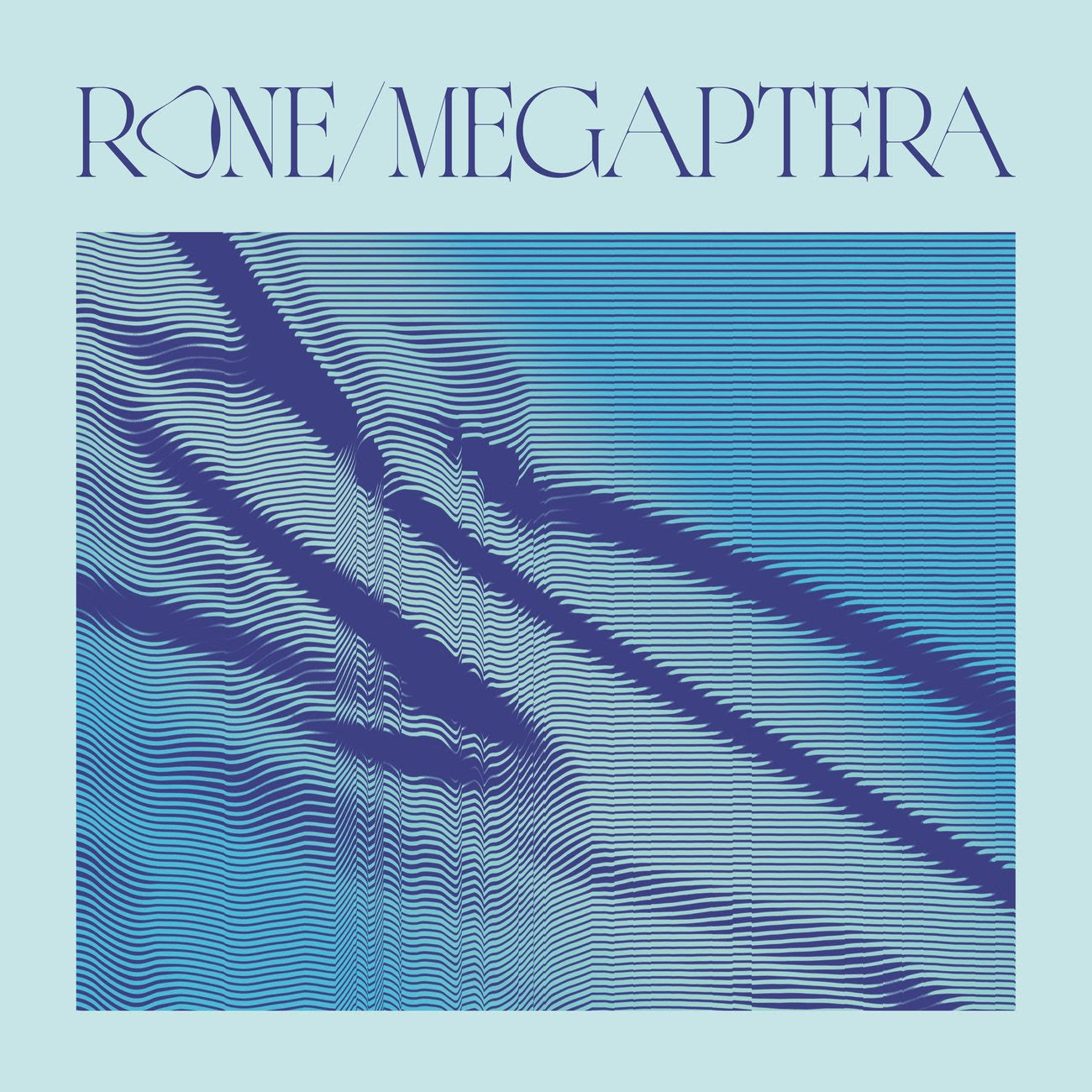 Megaptera