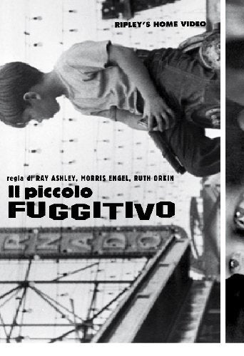 Il Piccolo Fuggitivo