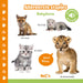 Standaard Uitgeverij - Geluidenboek - Babydieren