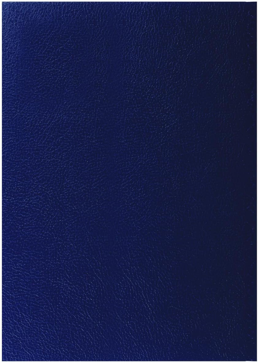 2026-2027 Mid/Academic Year Planner - 13 Month A4 Day-to-Page with Appointments - Collins Debden Desk Diary Blue (44M.60-2627