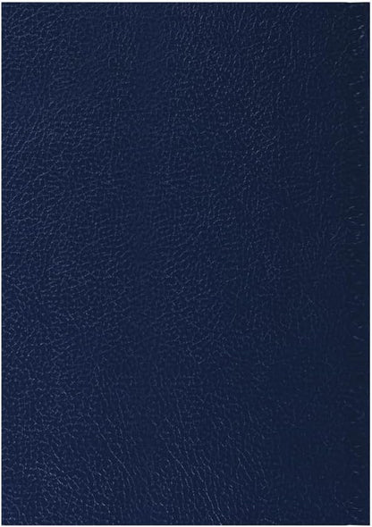 2026-2027 Mid/Academic Year Planner - 13 Month A5 Day-to-Page with Appointments - Collins Debden Desk Diary Blue (52M.60-2627