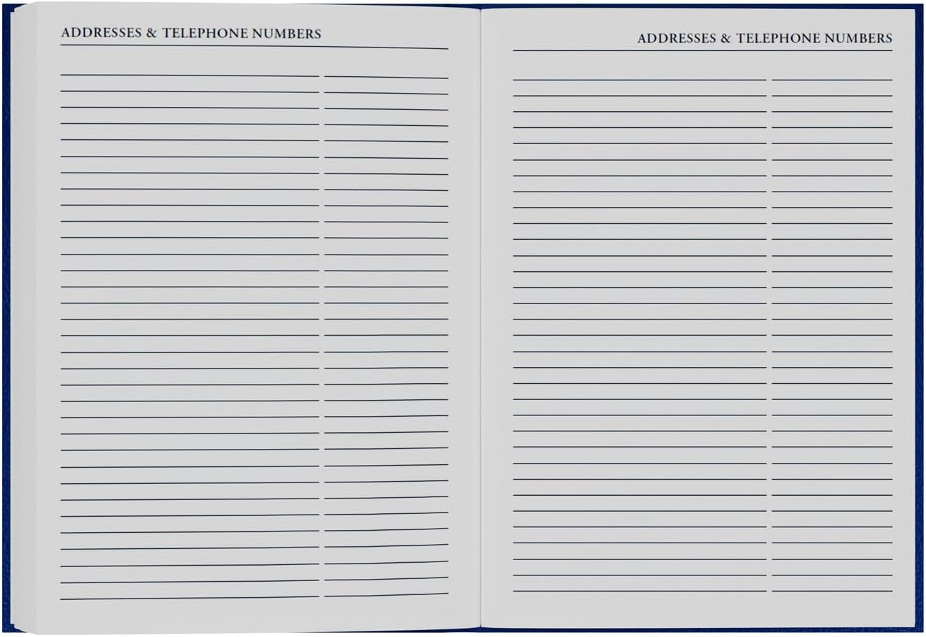 2026-2027 Mid/Academic Year Planner - 13 Month A5 Day-to-Page with Appointments - Collins Debden Desk Diary Blue (52M.60-2627