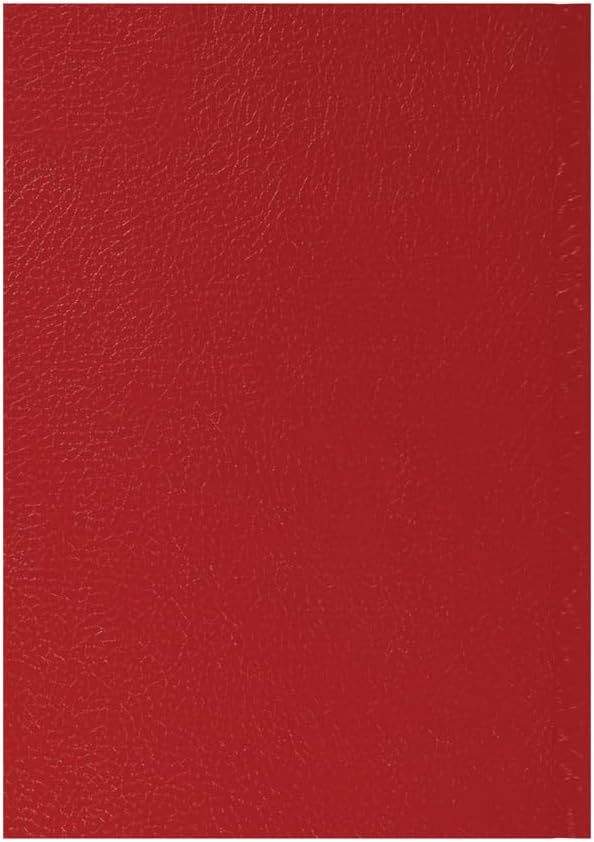 2026-2027 Mid/Academic Year Planner - 13 Month A5 Day-to-Page with Appointments - Collins Debden Desk Diary Red (52M.15-2627