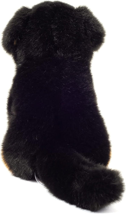 Teddy Hermann 91972 Berner Sennenhond zittend 21 cm, knuffeldier, pluche dier met gerecyclede vulling
