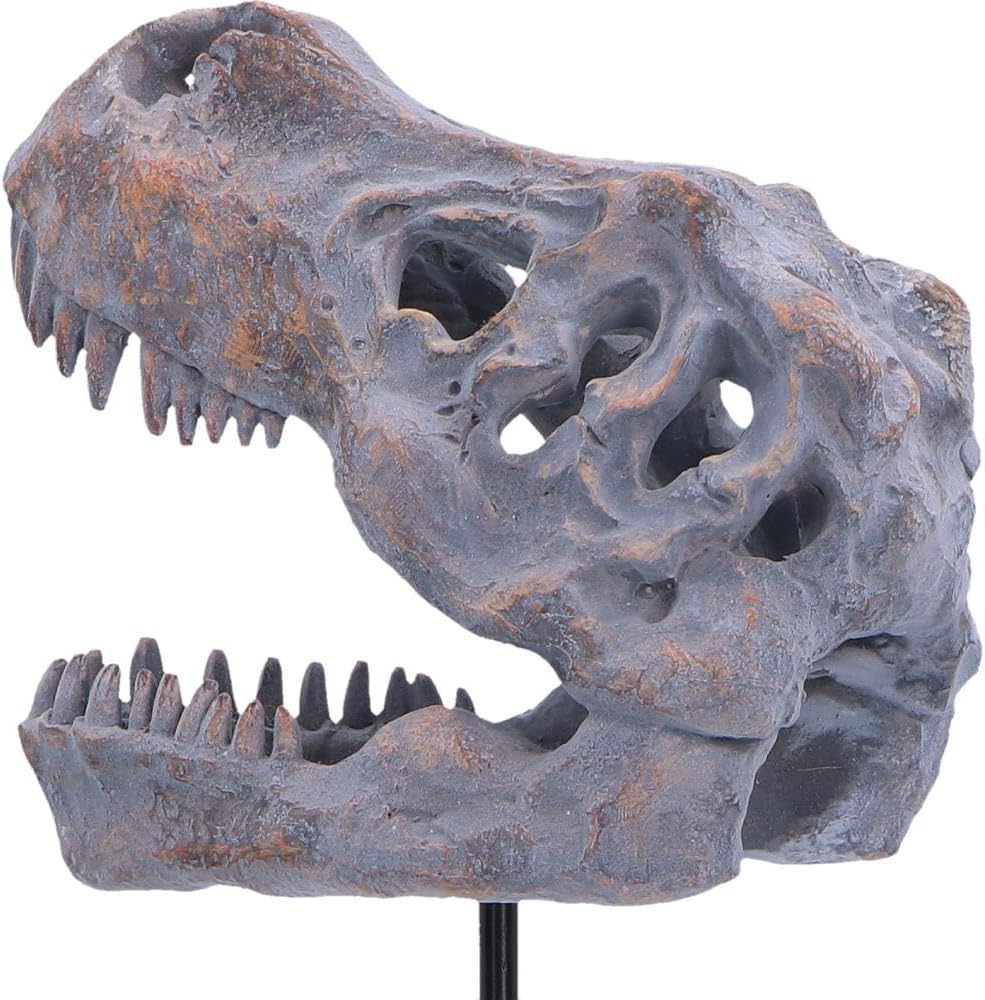Tyrannosaurus Rex Skull on Plinth 24.2cm – Fossilised T-Rex Skull Ornament, Prehistoric Dinosaur Display Figure