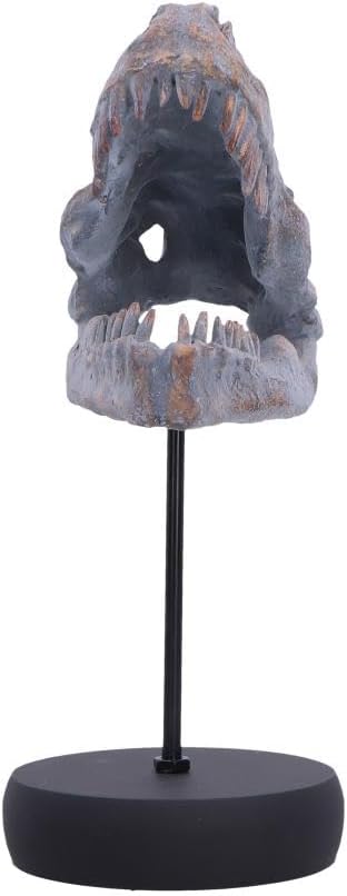 Tyrannosaurus Rex Skull on Plinth 24.2cm – Fossilised T-Rex Skull Ornament, Prehistoric Dinosaur Display Figure