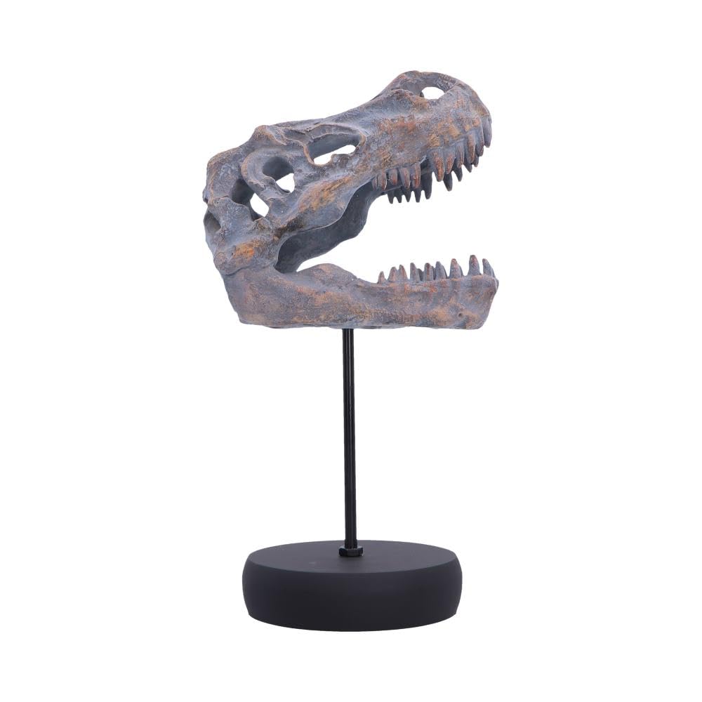Tyrannosaurus Rex Skull on Plinth 24.2cm – Fossilised T-Rex Skull Ornament, Prehistoric Dinosaur Display Figure
