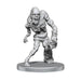 D&D Nolzur's Marvelous Miniatures: Rutterkin & Maw Demon (PREORDER