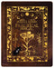 Practical Magic Limited Edition 4K UHD Steelbook