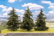 Faller 181544-3 Fir Tree, Track Gauge H0, TT, N