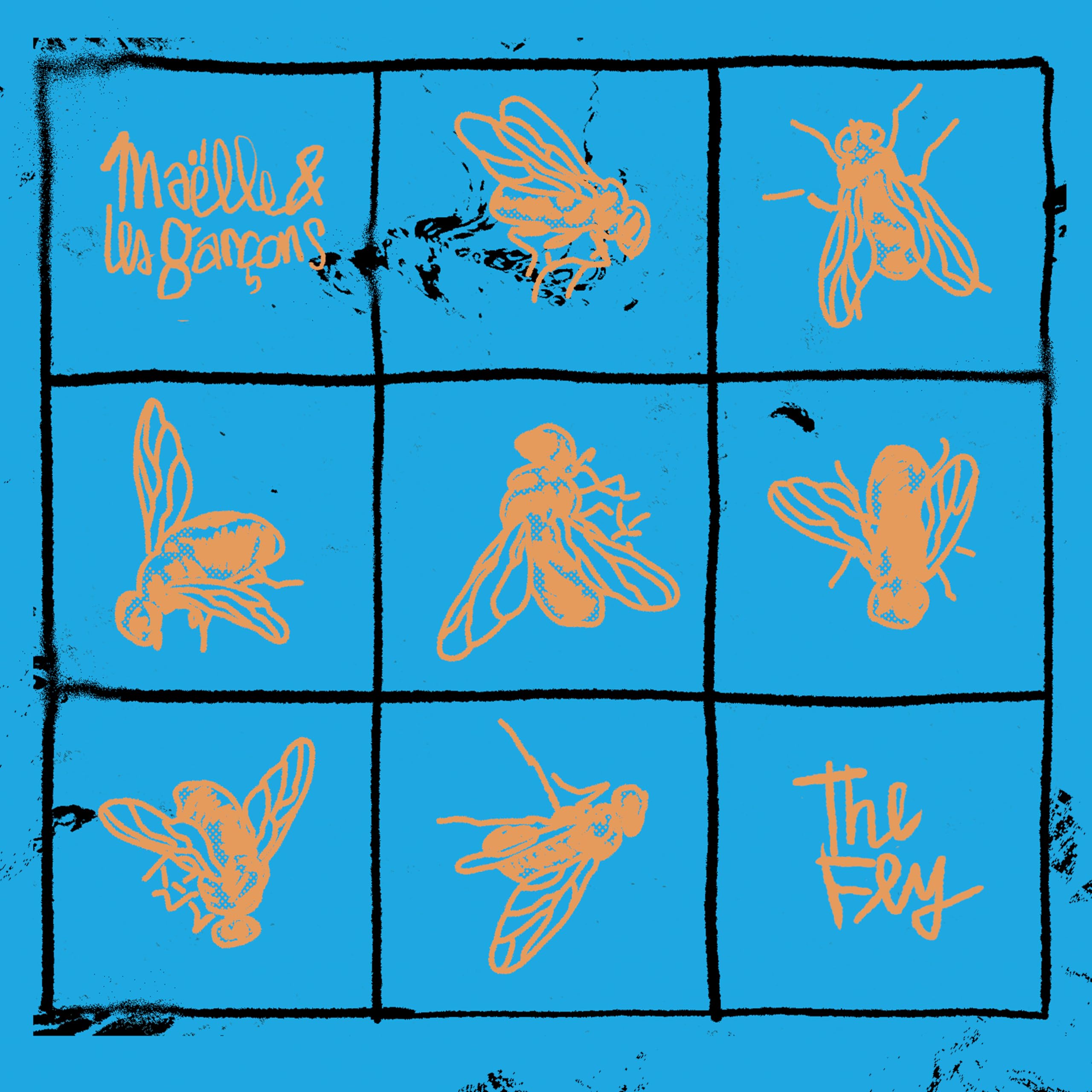 FLY