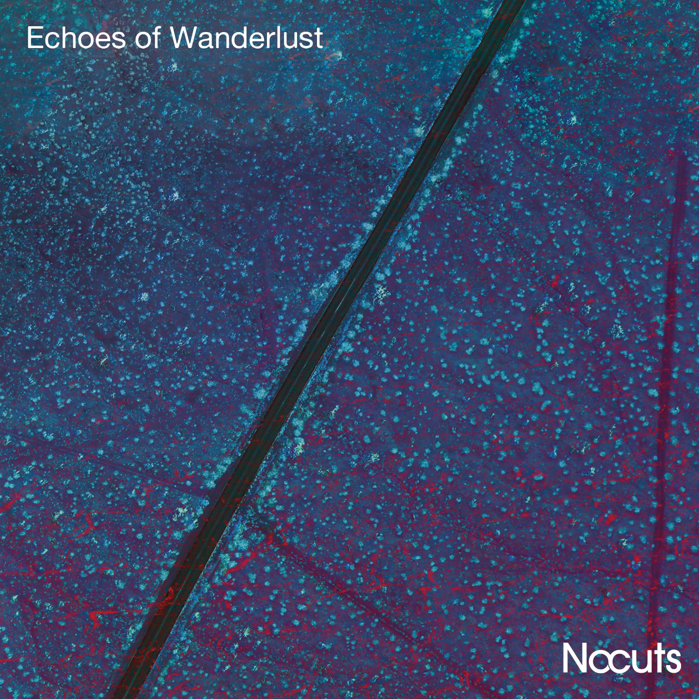 ECHOES OF WANDERLUST
