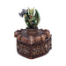 Hoard Defender Box Dragon Trinket Box 10.5cm – Fantasy Shield Storage Box (Green
