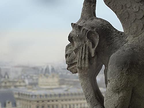Notre-dame de paris : l'épreuve des siècles